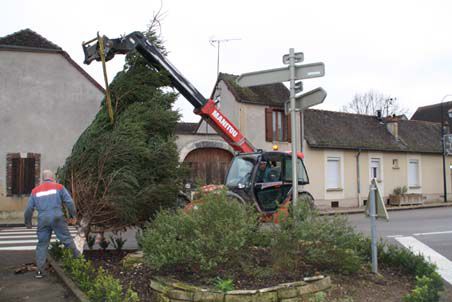 Lundi 12 décembre, mise en place du sapin de Noël devant la mairie