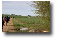 Dimanche 2 avril, marche organisée par l'Association Les Amis des Ecoles