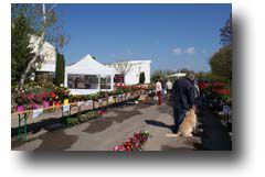 Samedi 29 avril, marché aux fleurs de Carisey