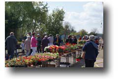 Samedi 29 avril, marché aux fleurs de Carisey