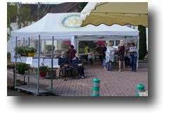 Samedi 29 avril, marché aux fleurs de Carisey