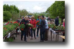 Samedi 28 avril, Marché aux fleurs à Carisey