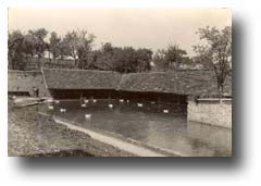 lavoir & abreuvoir de Carisey